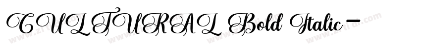 CULTURAL Bold Italic字体转换